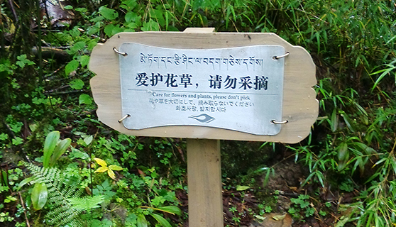 成都標(biāo)識(shí)標(biāo)牌 成都標(biāo)識(shí)標(biāo)牌